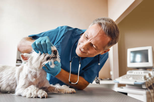 Best Emergency Treatment for Dental Infections or Abscesses in Turlock, CA